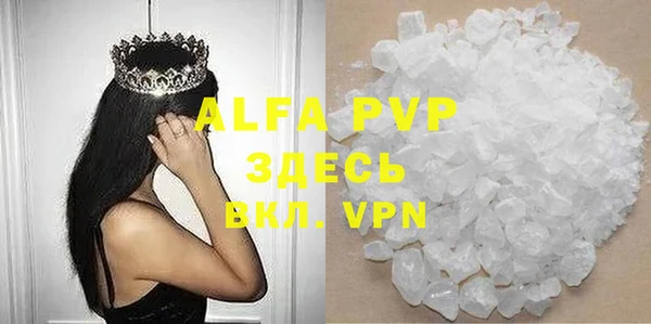 индика Белоозёрский