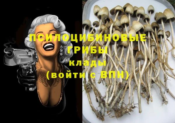 индика Белоозёрский
