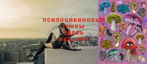 индика Белоозёрский