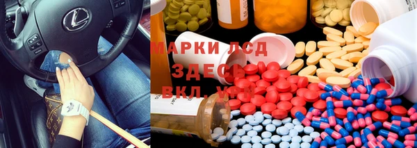 индика Белоозёрский