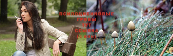 индика Белоозёрский