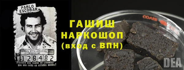 ГАЛЛЮЦИНОГЕННЫЕ ГРИБЫ Белокуриха