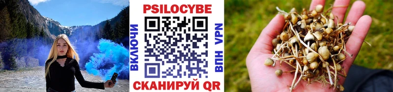 Псилоцибиновые грибы ЛСД  магазин продажи наркотиков  Куйбышев 